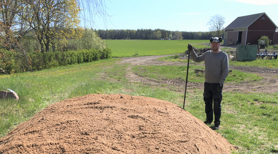 Anläggning av sandbädd för solitärbin