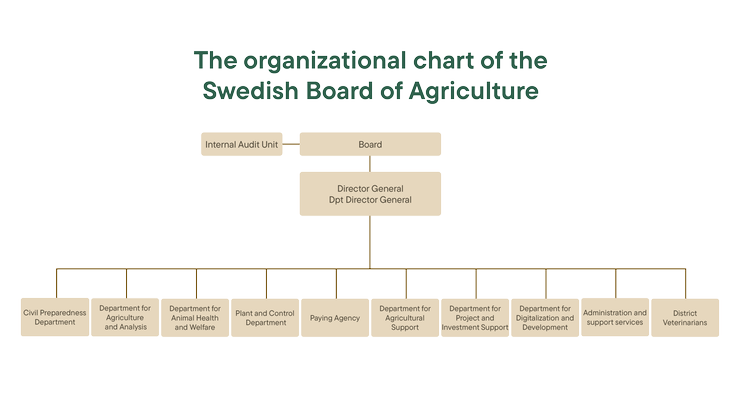 Organisationsplan in English