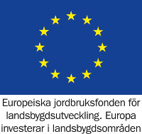 EU-flagga